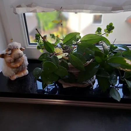 Lenavi's Naehe Europa Park & Rulantica 